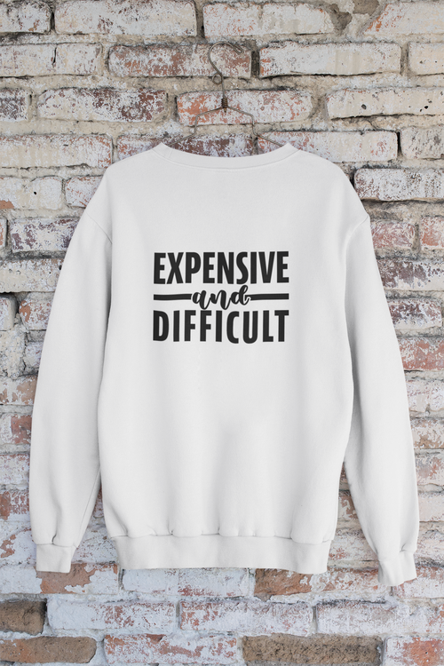 Expensive and Difficult Oversized Sweatshirt